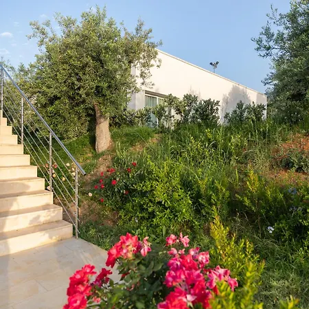 Aura Maris Mazzaforno *